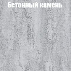 Шкаф-купе Бассо 1.0 (Дуб Крафт серый/Бетонный камень) 2 двери ЛДСП в Карталах - kartaly.mebel24.online | фото 3
