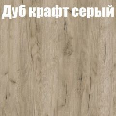 Шкаф-купе Бассо 1.0 (Дуб Крафт серый/Бетонный камень) 2 двери ЛДСП в Карталах - kartaly.mebel24.online | фото 4