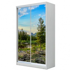 Шкаф-купе ХИТ 22-4-14-77 (420) в Карталах - kartaly.mebel24.online | фото 7