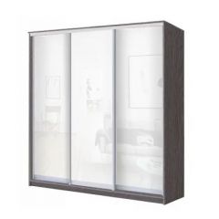 Шкаф-купе ХИТ 23-20-888 (620) в Карталах - kartaly.mebel24.online | фото