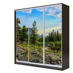 Шкаф-купе ХИТ 23-4-18-777 (420) в Карталах - kartaly.mebel24.online | фото 1