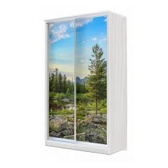 Шкаф-купе ХИТ 24-4-12-77 (420) в Карталах - kartaly.mebel24.online | фото