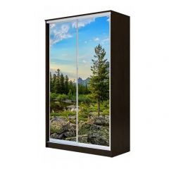 Шкаф-купе ХИТ 24-4-14-77 (420) в Карталах - kartaly.mebel24.online | фото