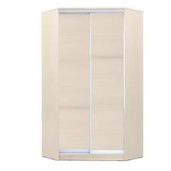 Шкаф-купе ХИТ-У-L-24-64-11 в Карталах - kartaly.mebel24.online | фото 7