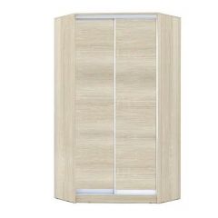 Шкаф-купе ХИТ-У-L-24-64-11 в Карталах - kartaly.mebel24.online | фото 8
