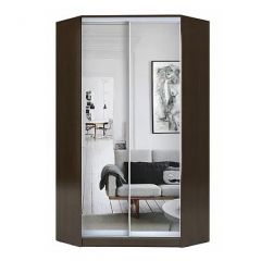 Шкаф-купе ХИТ-У-R-23-64-55 в Карталах - kartaly.mebel24.online | фото 1
