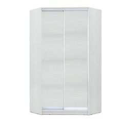 Шкаф-купе ХИТ-У-R-24-64-11 в Карталах - kartaly.mebel24.online | фото