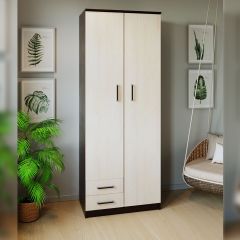 Шкаф распашной ПШ-3.9 в Карталах - kartaly.mebel24.online | фото 3