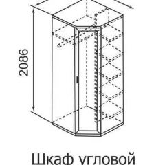 Шкаф угловой для одежды Ника-Люкс 30 без зеркал в Карталах - kartaly.mebel24.online | фото 3