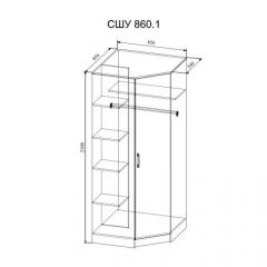 СОФИ СШУ860.1 Шкаф угловой в Карталах - kartaly.mebel24.online | фото 2