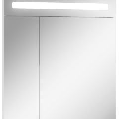 Шкаф-зеркало Аврора 65 с подсветкой LED Домино (DV8006HZ) в Карталах - kartaly.mebel24.online | фото