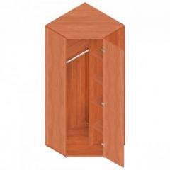 Шкаф для одежды "Референт" Р.Ш-10 в Карталах - kartaly.mebel24.online | фото