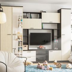 Стенка Марта 11 (Венге/Беленый дуб) в Карталах - kartaly.mebel24.online | фото
