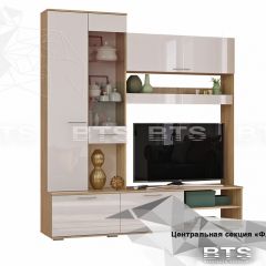ФЛАЙ Центральная секция ЦС-01 (дуб сонома/белый) в Карталах - kartaly.mebel24.online | фото 2