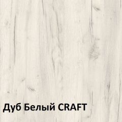 Юнона Шкаф торцевой 13.221 в Карталах - kartaly.mebel24.online | фото 3