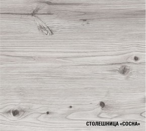 АСАЯ Кухонный гарнитур Прайм 2 400 (1100*2000 мм) ПМ в Карталах - kartaly.mebel24.online | фото 7
