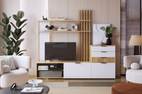 БЕРИ Гостиная (модульная) белое дерево в Карталах - kartaly.mebel24.online | фото