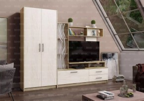 ДАРЬЯ Гостиная (Крафт серый/Крафт белый) в Карталах - kartaly.mebel24.online | фото