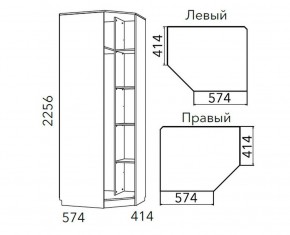 Детская Фанк Шкаф угловой Левый/Правый НМ 013.04-02 М в Карталах - kartaly.mebel24.online | фото 3