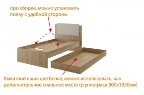 Дуглас (подростковая) М14 Кровать в Карталах - kartaly.mebel24.online | фото 5