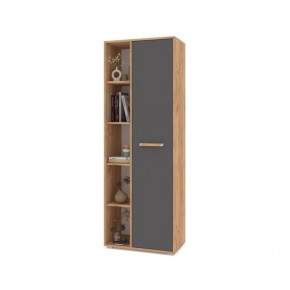 ФЛОРИДА Ф12 Шкаф-стеллаж (дуб золотой/графит) в Карталах - kartaly.mebel24.online | фото