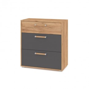 ФЛОРИДА Гостиная (модульная) дуб золотой/графит в Карталах - kartaly.mebel24.online | фото 8
