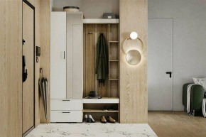 Гарнитур для прихожей Торонто в Карталах - kartaly.mebel24.online | фото 5