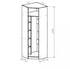 ГЕОМЕТРИЯ ГМТ.05 шкаф угловой в Карталах - kartaly.mebel24.online | фото 2