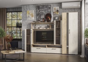Гостиная Эмма (Дуб Крафт серый/белый) в Карталах - kartaly.mebel24.online | фото