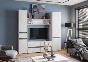 Гостиная Мрия (модульная) Бетон пайн светлый/Графит в Карталах - kartaly.mebel24.online | фото