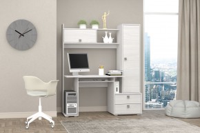 Компьютерный стол №10 (Анкор светлый) в Карталах - kartaly.mebel24.online | фото