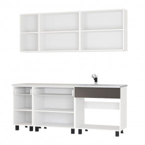 Кухня Дакота 2,0 (бетон пайн/графит) в Карталах - kartaly.mebel24.online | фото 2