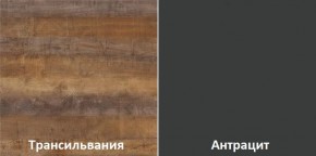 Кухонный гарнитур угловой Трансильвания 2600х1600 мм (Стол. 26 мм) в Карталах - kartaly.mebel24.online | фото 3