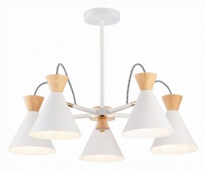 Люстра на штанге EVOLUCE Modica SLE125102-05 в Карталах - kartaly.mebel24.online | фото 2