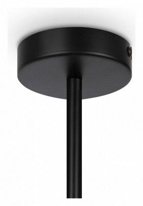Люстра на штанге Maytoni Memory MOD177PL-04B в Карталах - kartaly.mebel24.online | фото 4