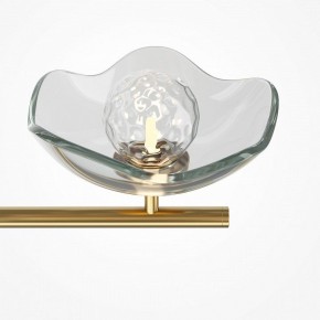 Люстра на штанге Maytoni Miracle MOD207PL-05BS в Карталах - kartaly.mebel24.online | фото 5