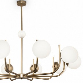 Люстра на штанге Maytoni Rendez-vous MOD109PL-10BS в Карталах - kartaly.mebel24.online | фото 3