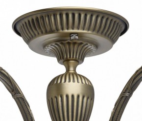 Люстра на штанге MW-Light Аманда 6 481011805 в Карталах - kartaly.mebel24.online | фото 10
