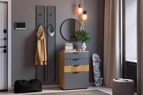 МЕБЕЛЬСОН К21 Прихожая в Карталах - kartaly.mebel24.online | фото 2