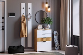 МЕБЕЛЬСОН К21 Прихожая (белое дерево) в Карталах - kartaly.mebel24.online | фото