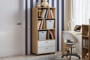 МИЛАН Детская (Дуб Золотой/Белый матовый) в Карталах - kartaly.mebel24.online | фото 53