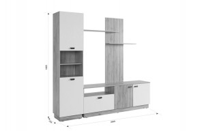 МОДИ К1 Гостиная (белое дерево) в Карталах - kartaly.mebel24.online | фото 2