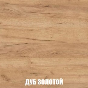 МСП-1 Шкаф 2-х створчатый (Дуб Золотой/Камень темный) в Карталах - kartaly.mebel24.online | фото 4