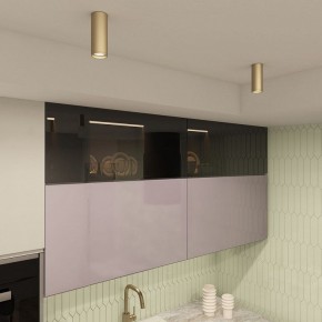 Накладной светильник Denkirs TUBE DK2051-SG в Карталах - kartaly.mebel24.online | фото 4