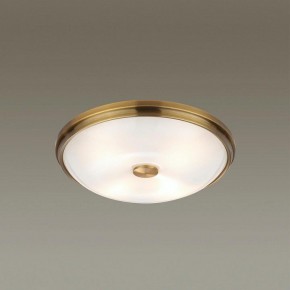 Накладной светильник Odeon Light Pelow 4956/4 в Карталах - kartaly.mebel24.online | фото 2
