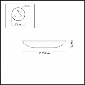 Накладной светильник Odeon Light Pelow 4956/4 в Карталах - kartaly.mebel24.online | фото 3