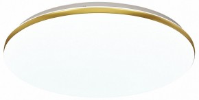 Накладной светильник Sonex Lassa 3043/DL в Карталах - kartaly.mebel24.online | фото 2