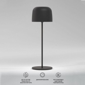 Настольная лампа декоративная Elektrostandard Bitty a069002 в Карталах - kartaly.mebel24.online | фото 2