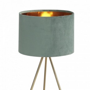 Настольная лампа декоративная ST-Luce FUEGO SL6242.704.01 в Карталах - kartaly.mebel24.online | фото 5