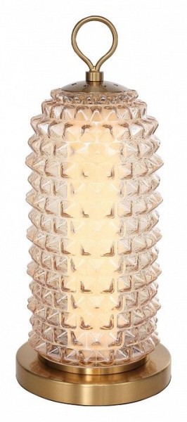 Настольная лампа декоративная ST-Luce SAGUARO SL6144.304.01 в Карталах - kartaly.mebel24.online | фото 2